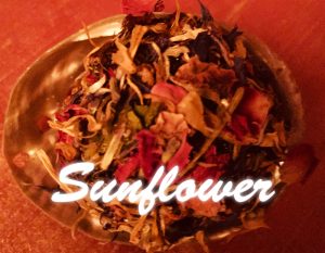 Sunflower 300x233 - Sunflower